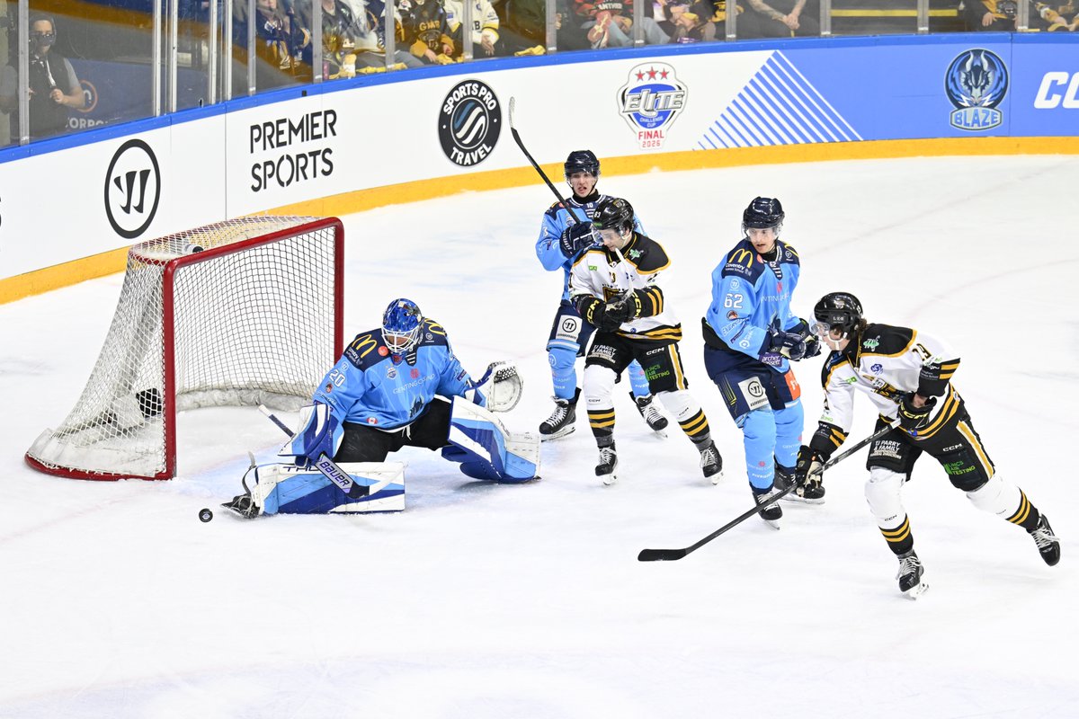 Panthers Images tweet media