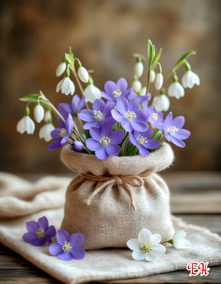 المكابيلي دمعة وابتسامة tweet media