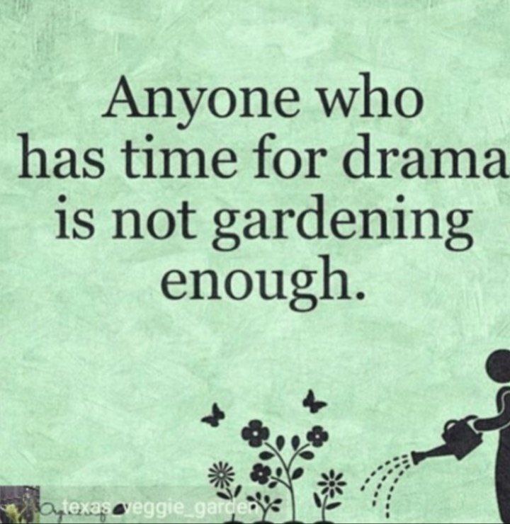 Magnetic Norse tweet media