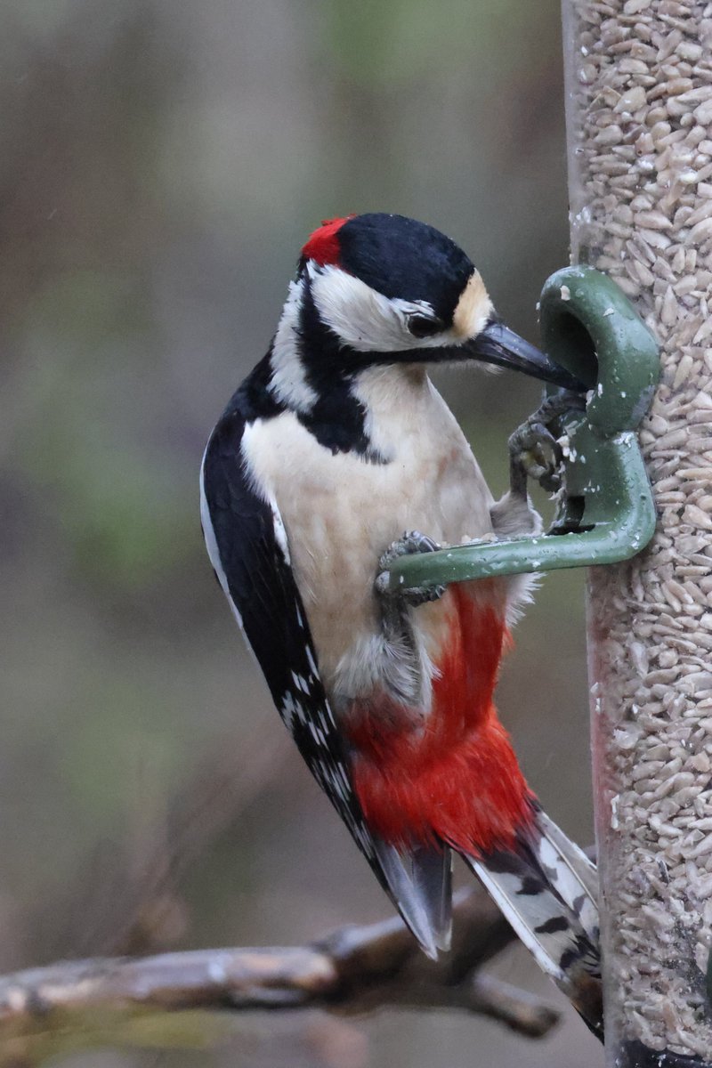 Trebor 1456 tweet media