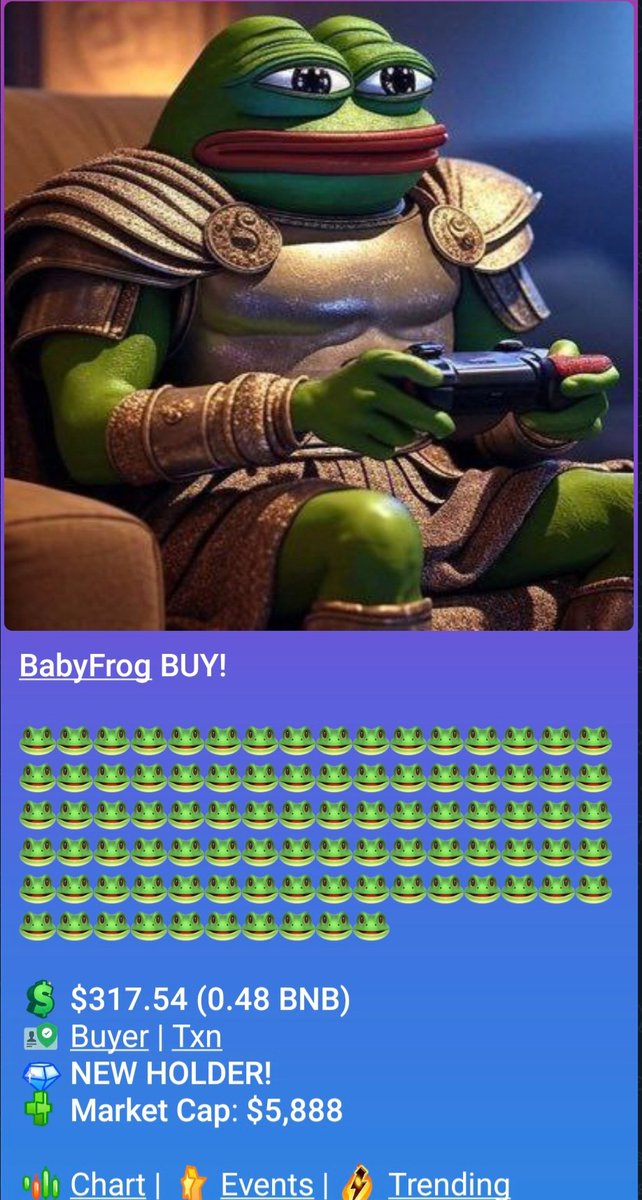 Baby Frog 🐸 tweet media