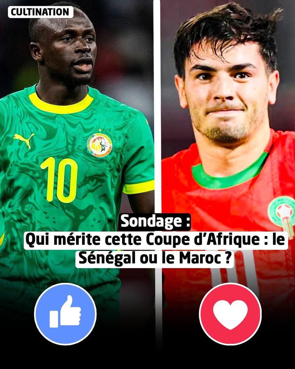 Deguem Pro tweet media