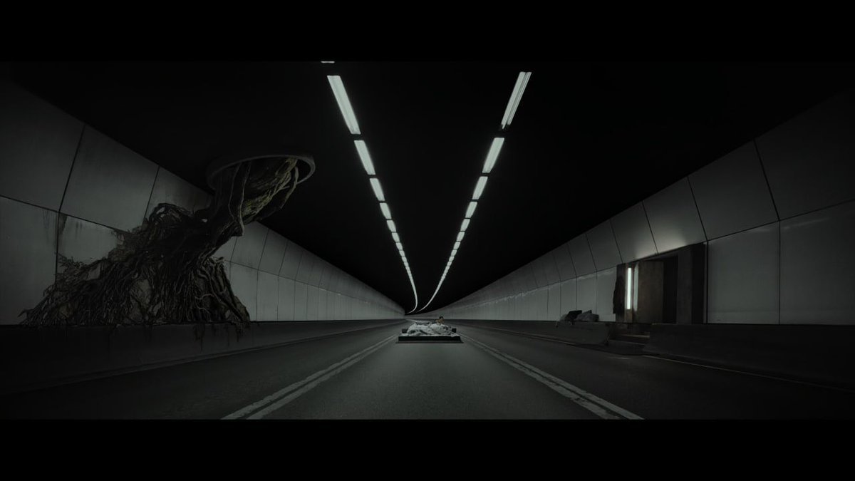 Werner Herzog's missing shoe tweet media