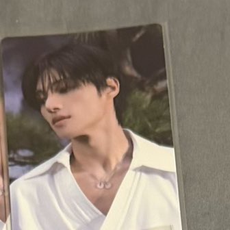 .*・゚🪼࿐⋆ tweet media