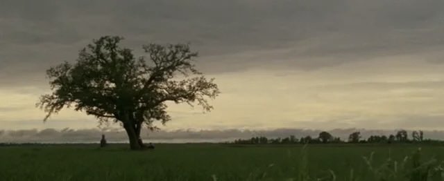 Frontierism tweet media