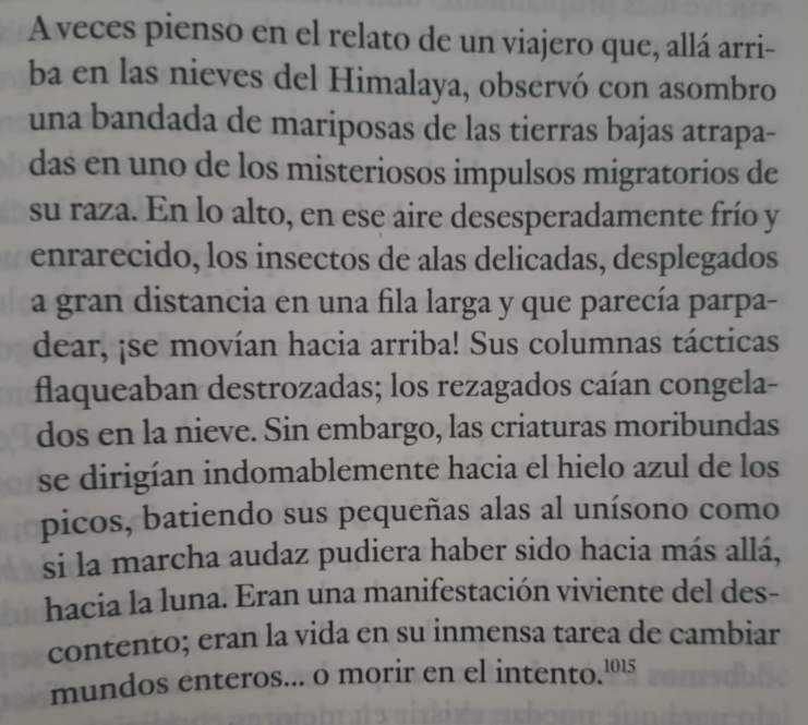 Alejo Ponce de León tweet media