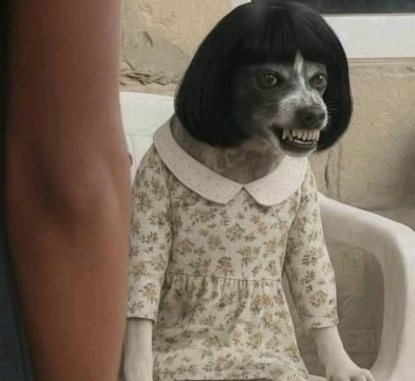 NEIDE MARMITAS tweet media