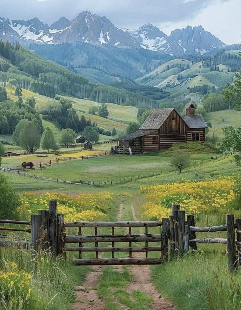 Carnivore Aurelius ©🥩 ☀️🦙 tweet media