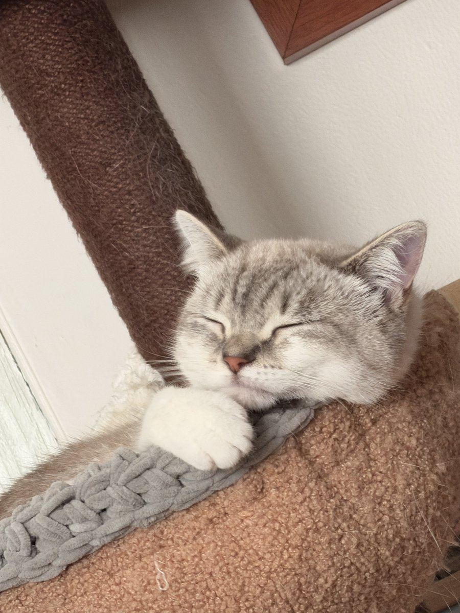 Kai G. Nikki 😎👍 Male On Stream ✨ Lovin’ Life tweet media