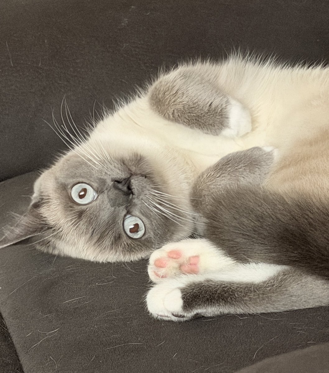 Kai G. Nikki 😎👍 Male On Stream ✨ Lovin’ Life tweet media