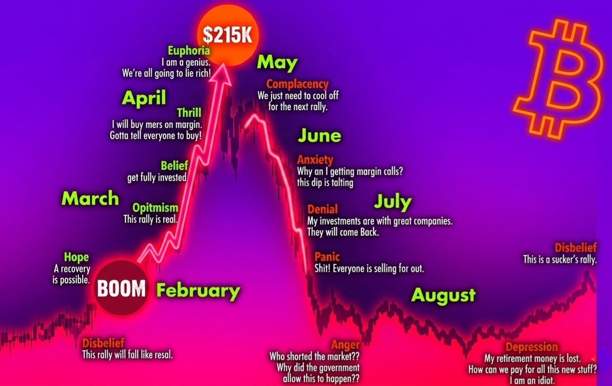 1000xgirl tweet media