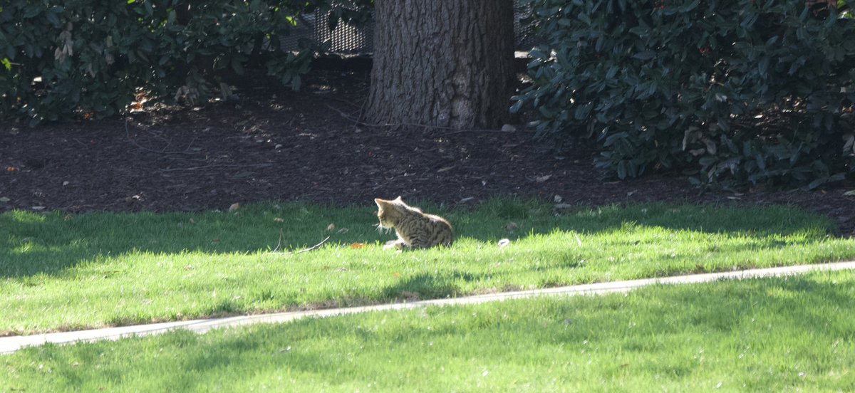 Andrew Leyden tweet media