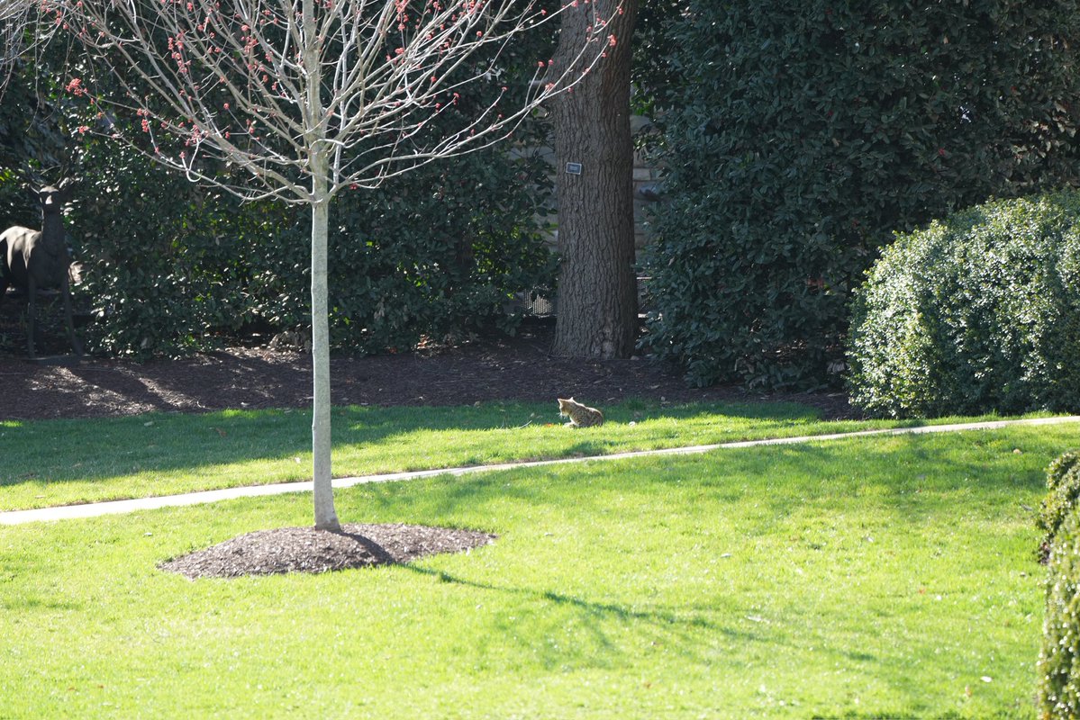 Andrew Leyden tweet media