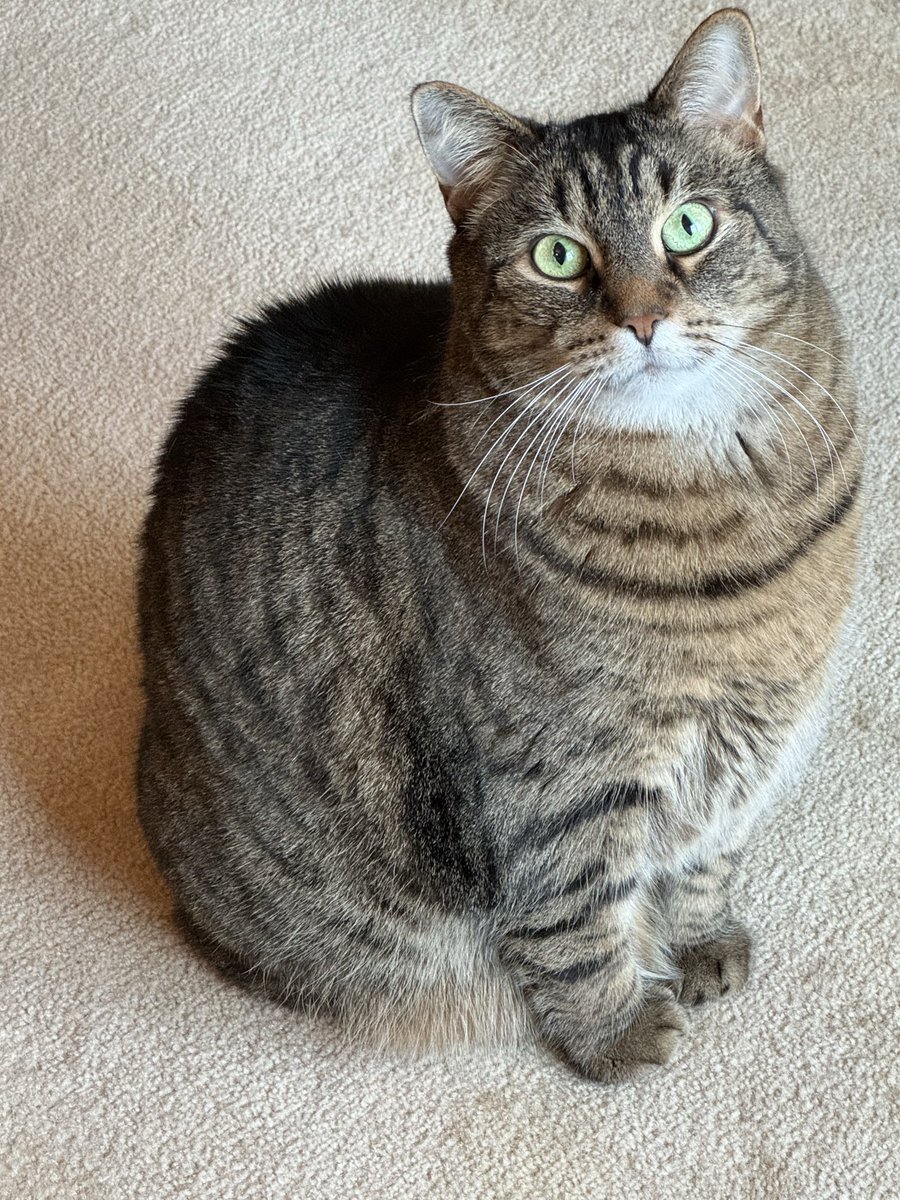 Emily Armstrong tweet media