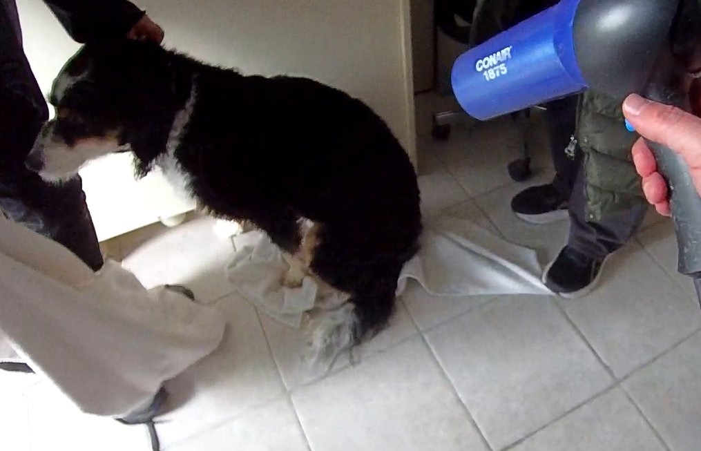 DCSO - Omaha, NE tweet media