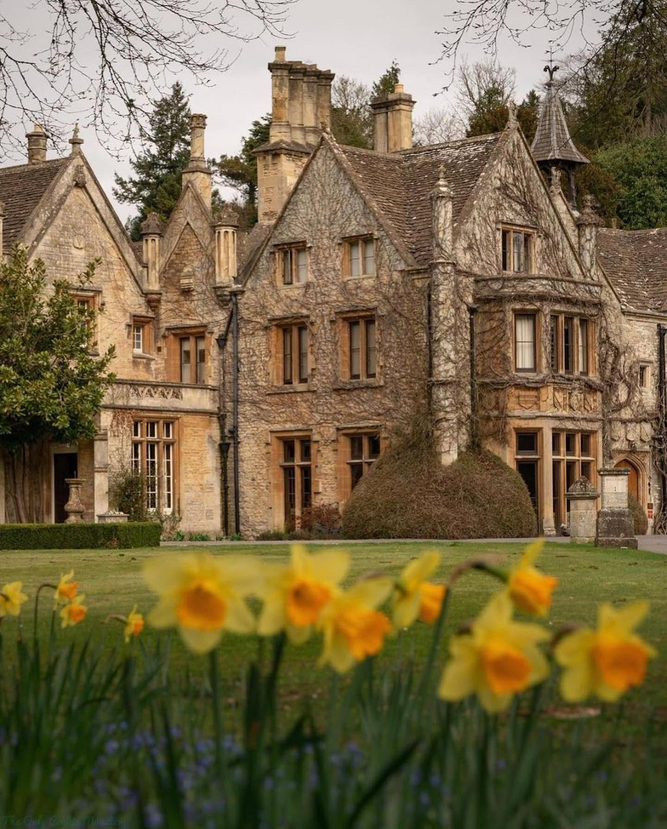 Gitmeliyiz tweet media