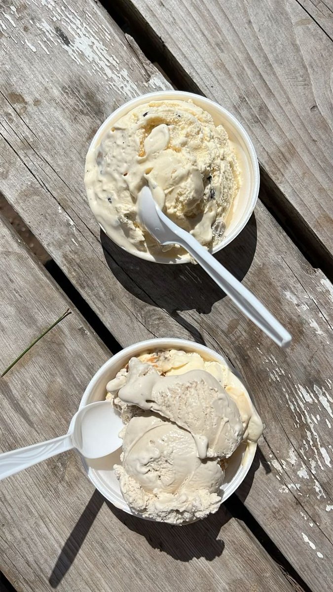 Carnivore Aurelius ©🥩 ☀️🦙 tweet media