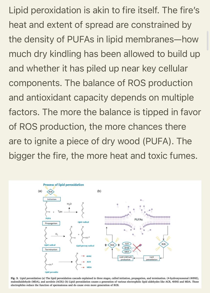 Nick Jikomes tweet media