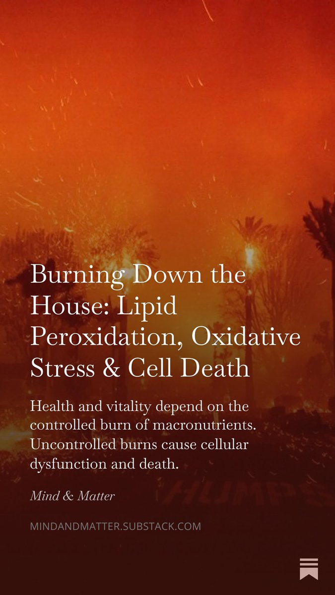 Nick Jikomes tweet media