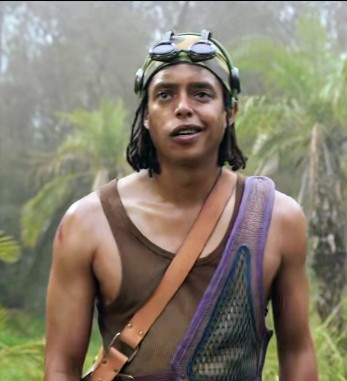 NetClips tweet media