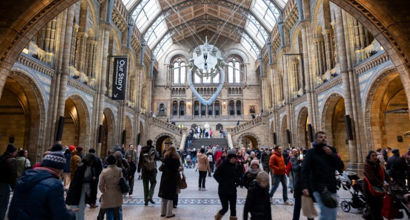 DeirdreReid's tweet image. Books, museums and languages can ‘delay dementia by five years’ &amp;gt;&amp;gt; by Eleanor Hayward, The Times buff.ly/6WMnu7T
#lifelonglearning