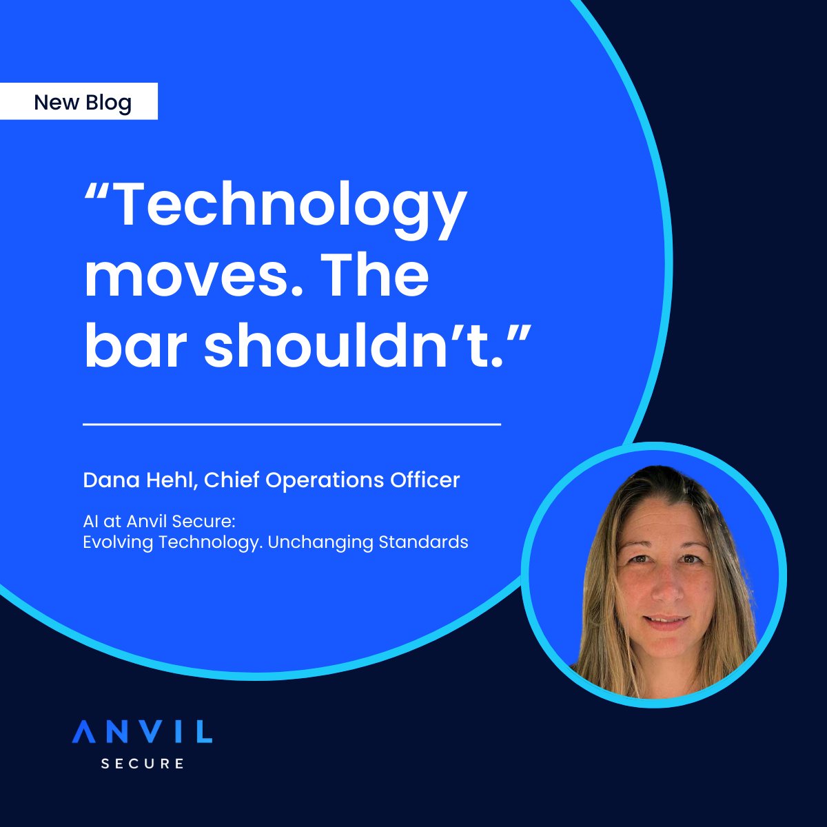 Anvil Secure tweet media