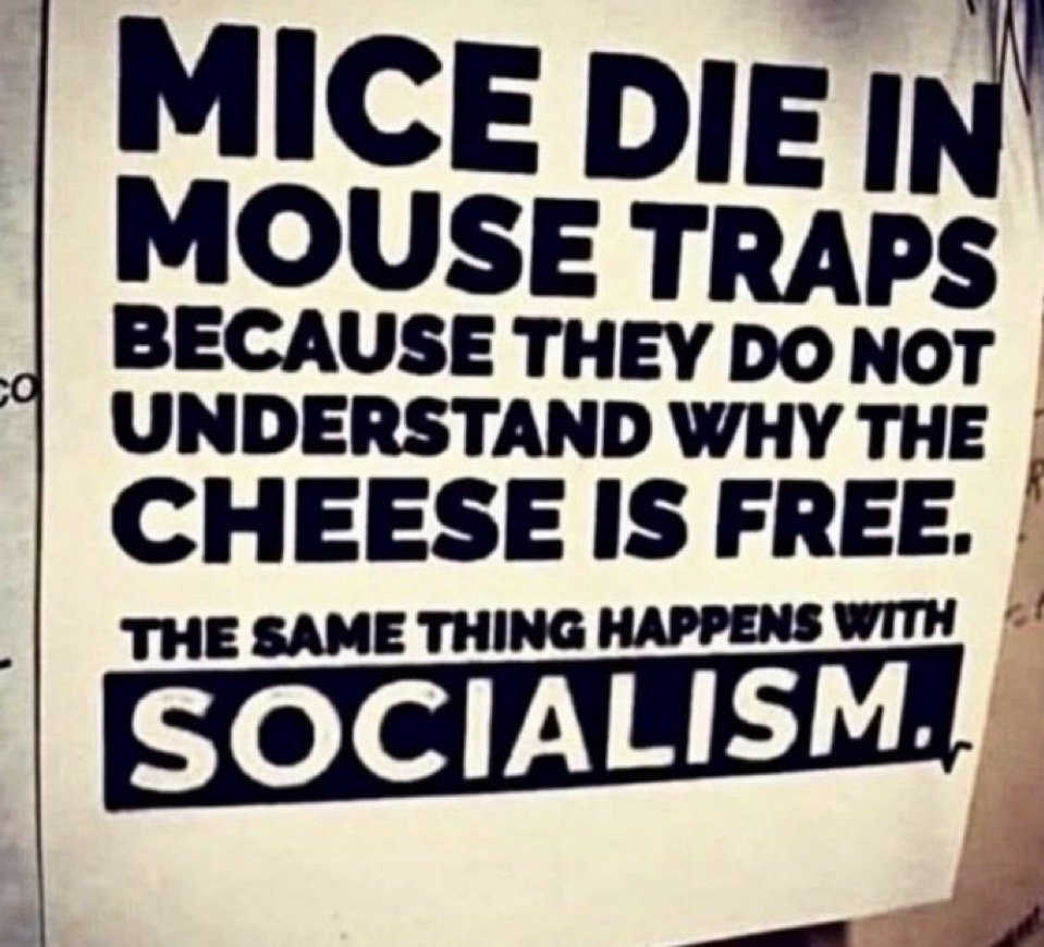 America First Spy tweet media