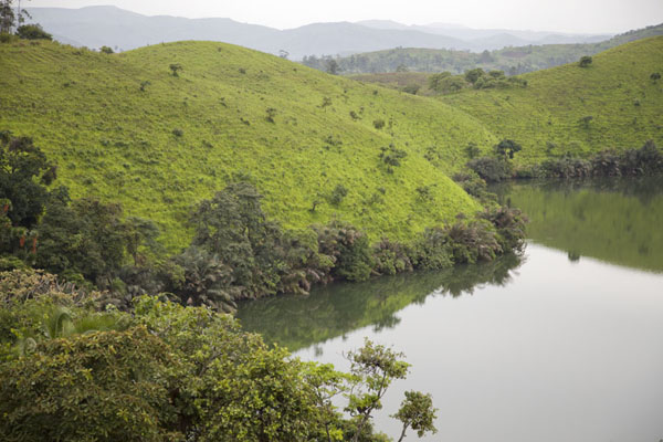 Extracts tweet media