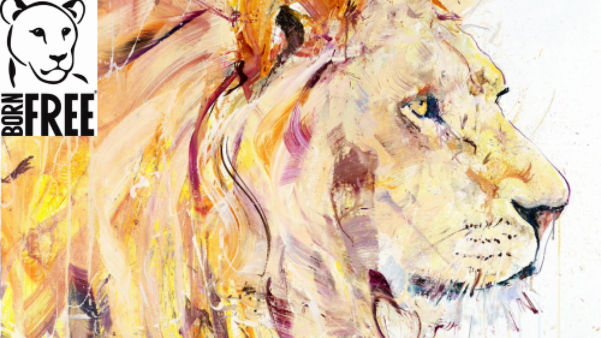 Born Free Foundation tweet media