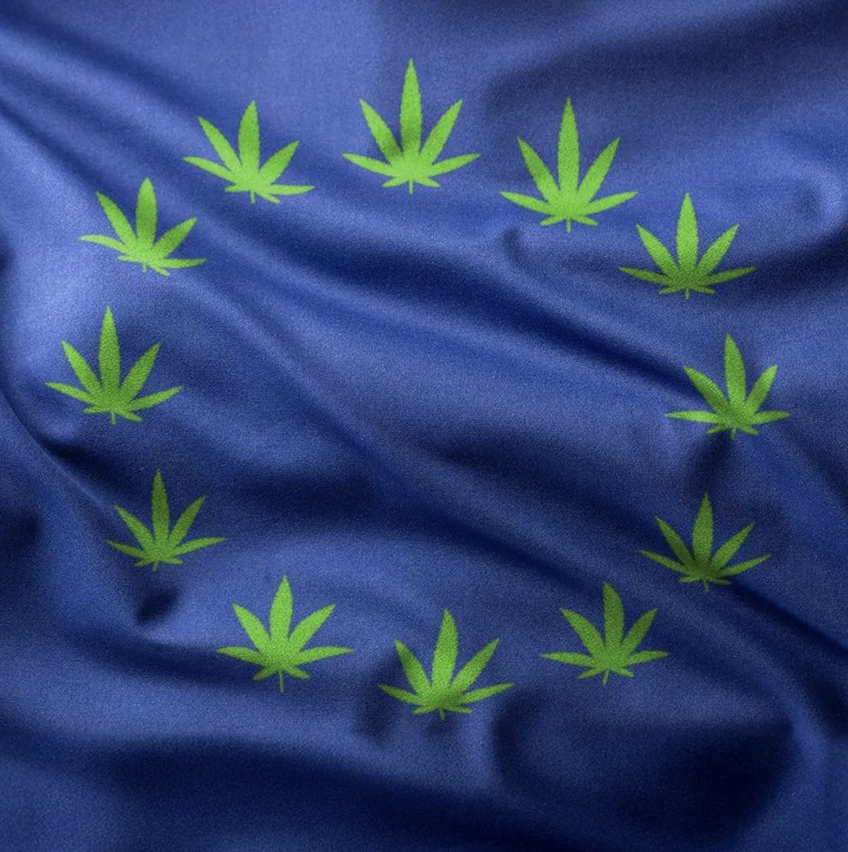 ForbesLife tweet media