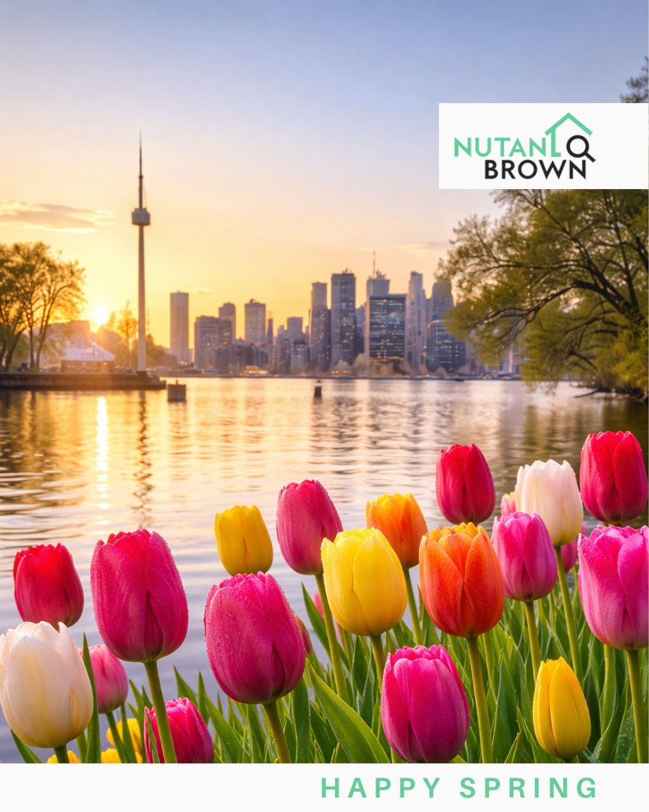 Nutan Brown tweet media