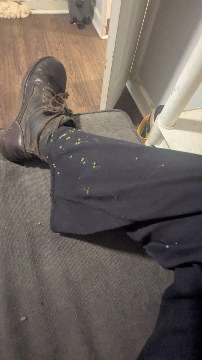 Bethany Ouimette tweet media