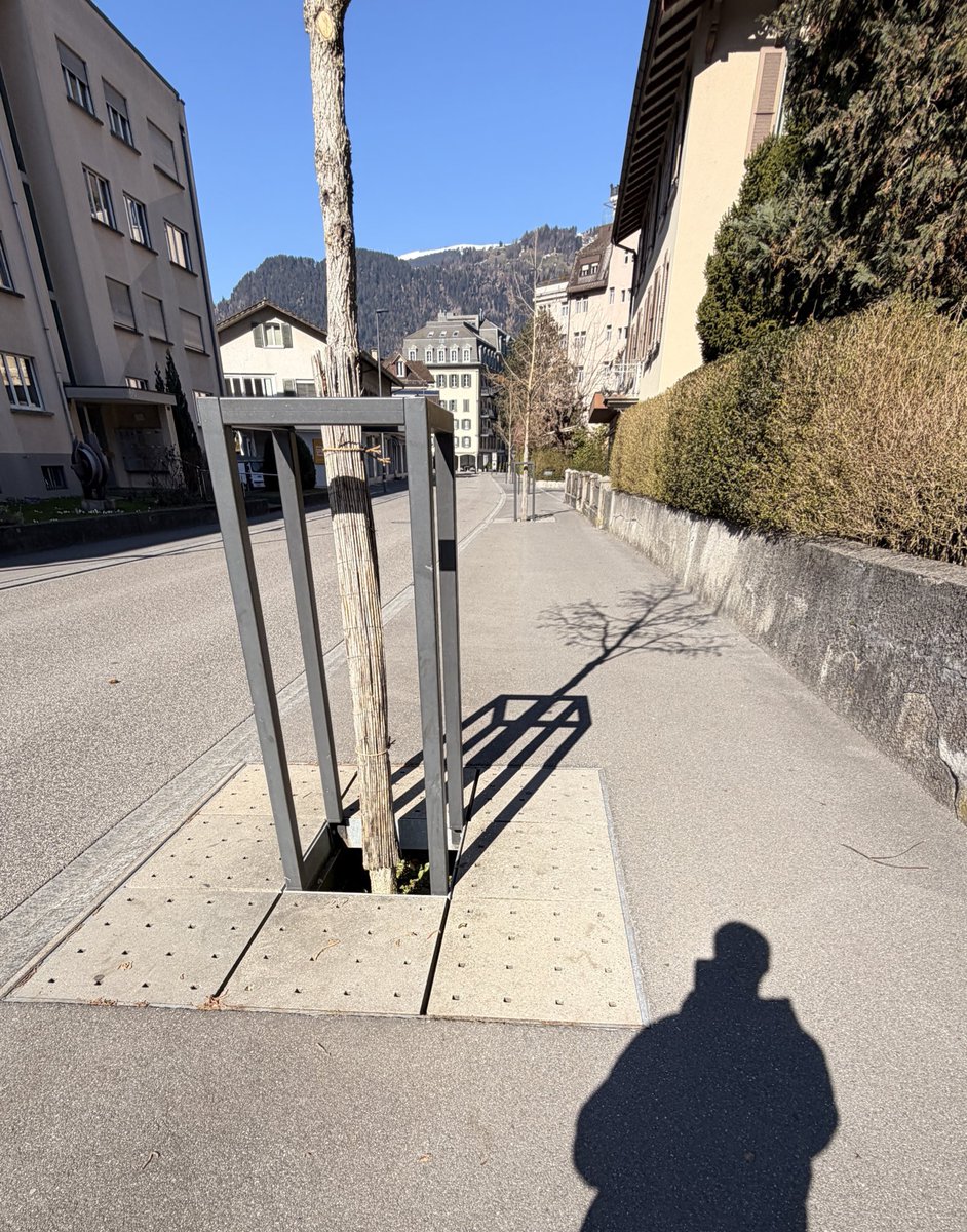 Fede Zicarelli tweet media