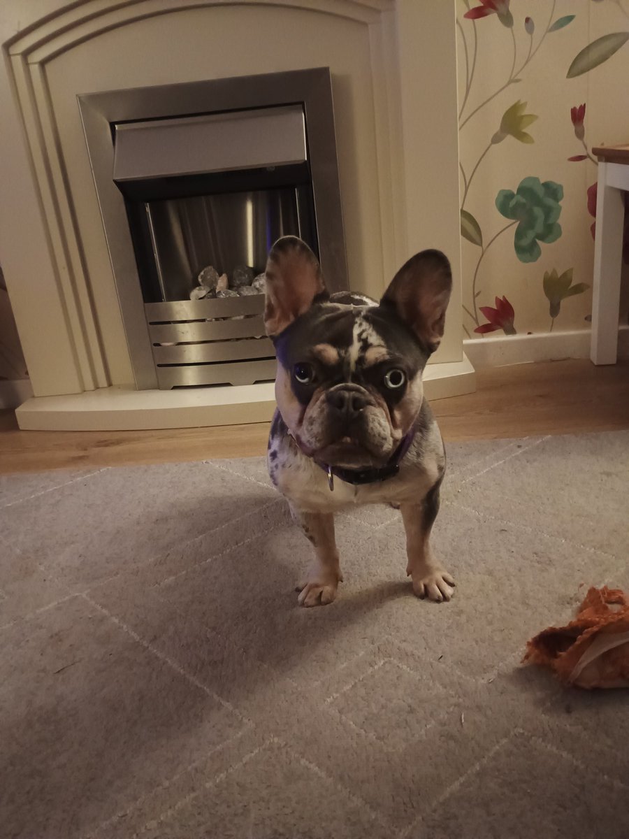 Miles Davis tweet media