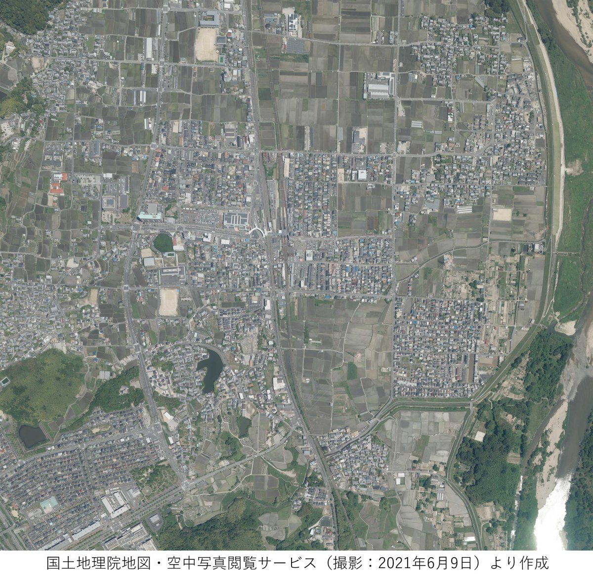 とっち庵 tweet media