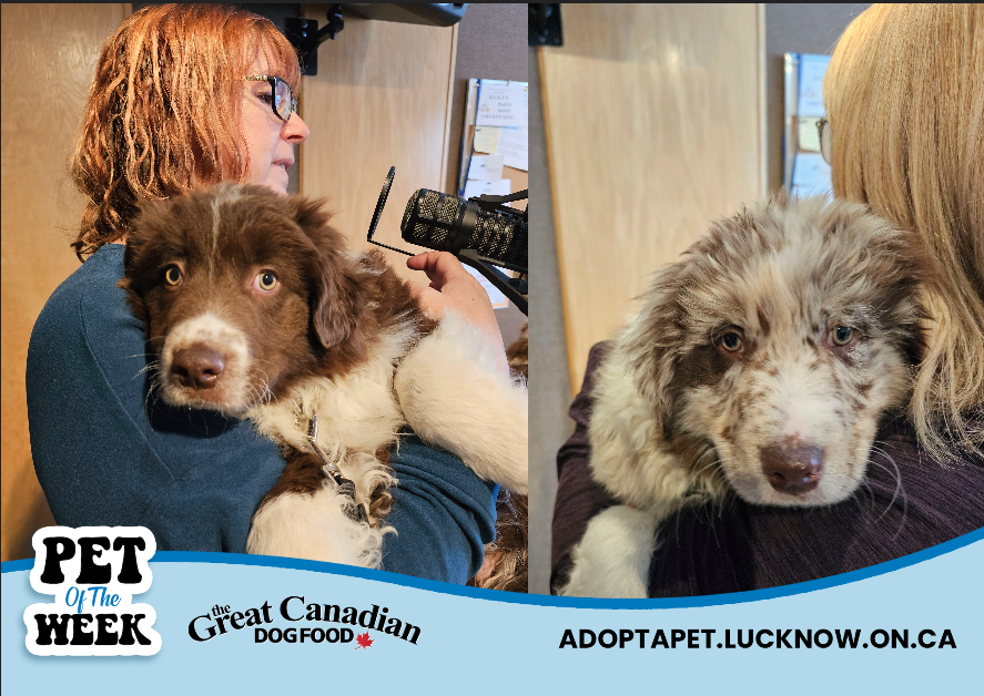 101.7 The One tweet media