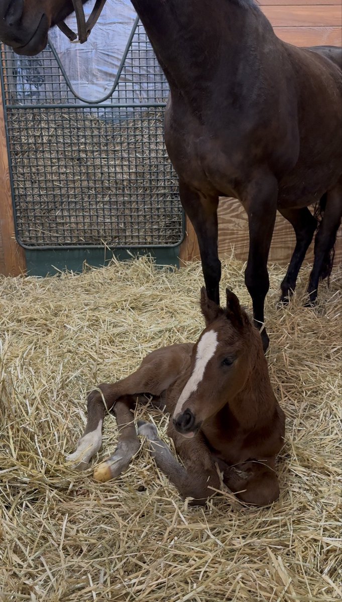 Mountain View Farm tweet media