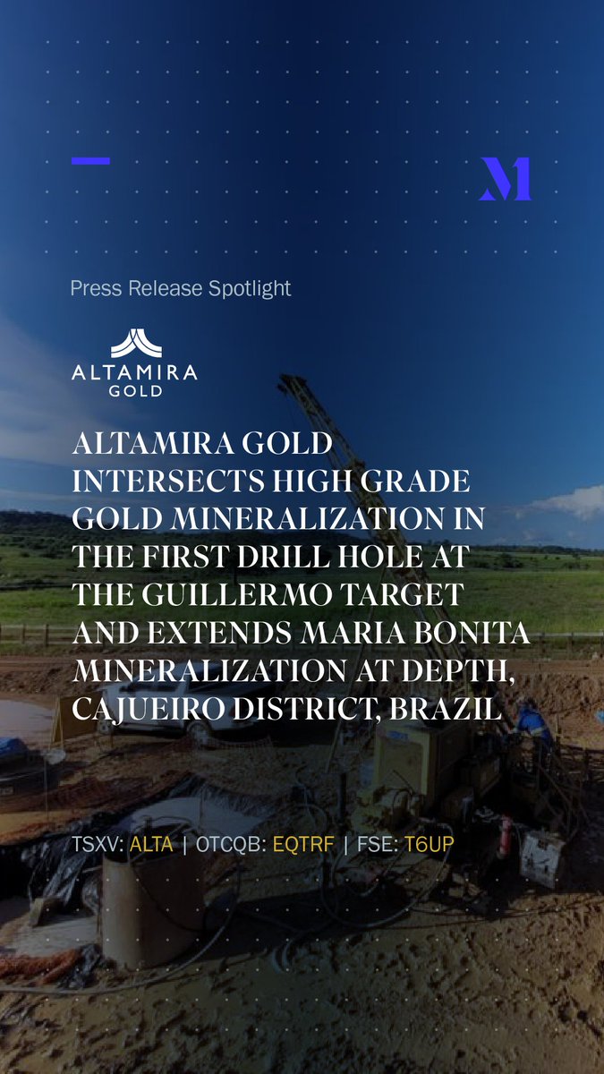 Market One Media tweet media