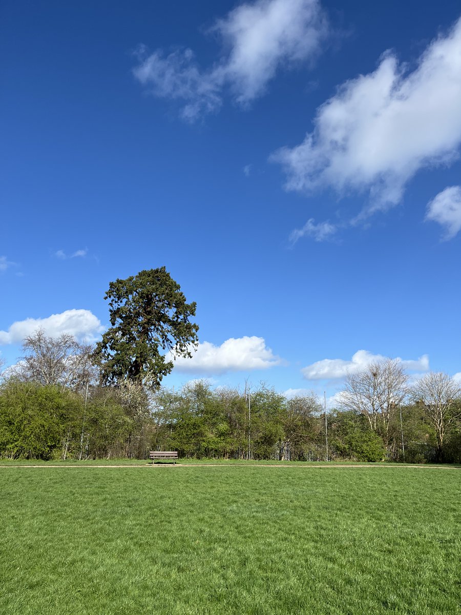 Exeter Trees tweet media