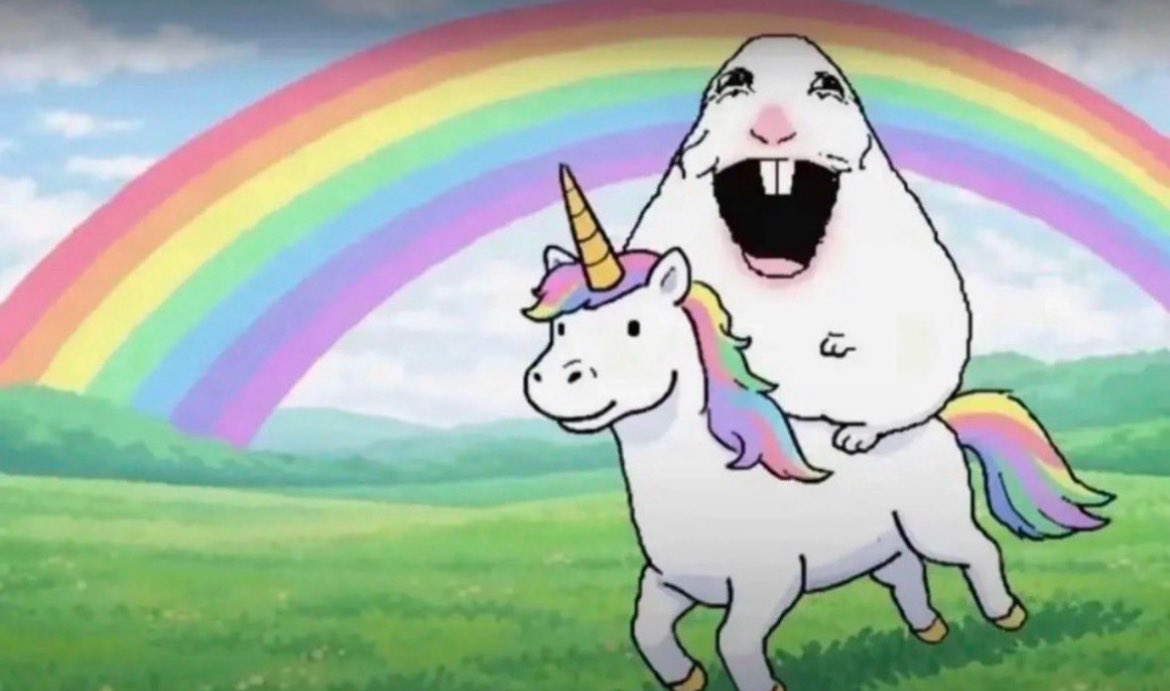 Faucon Alpin 🏔️ tweet media