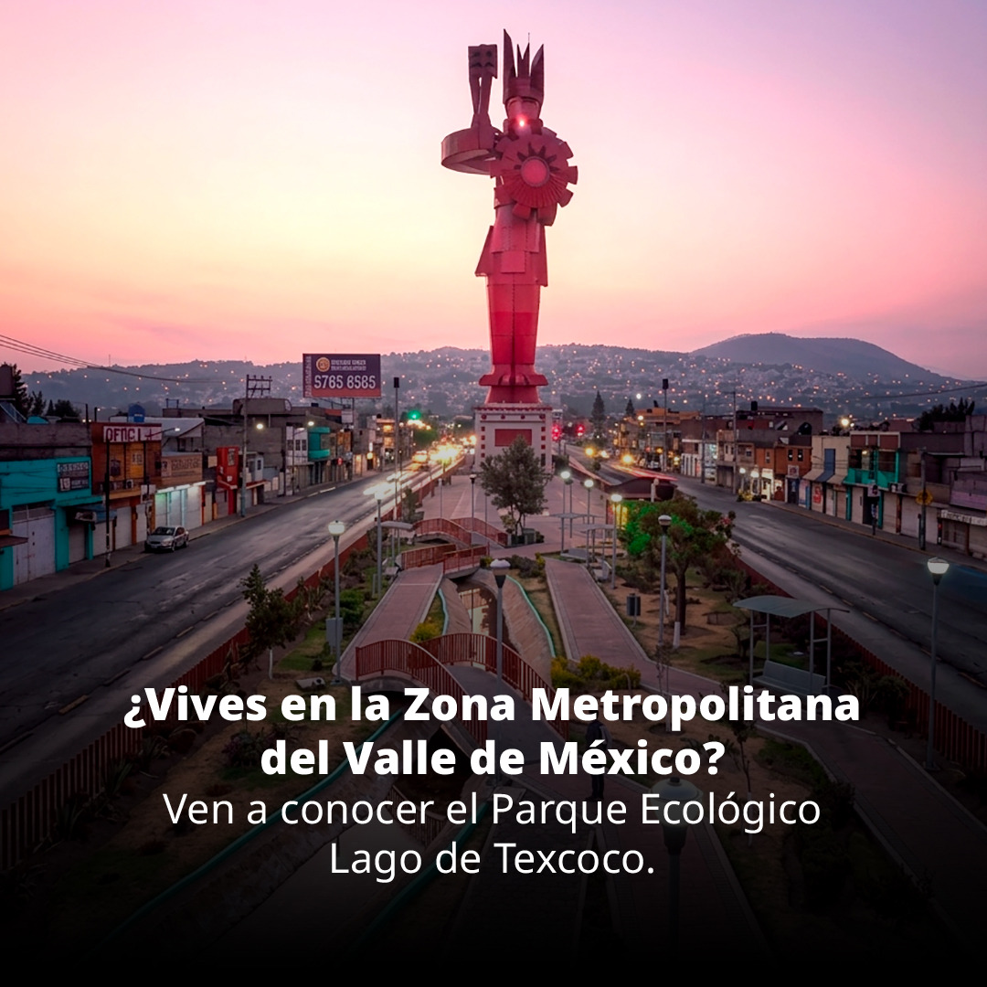 conagua_mx's tweet photo. ¡Vamos a conocer el @PELTexcoco! 

El @GobiernoMX pone a tu disposición instalaciones deportivas y recreativas para que disfrutes con tu familia. https://t.co/k8Js4oHXyd