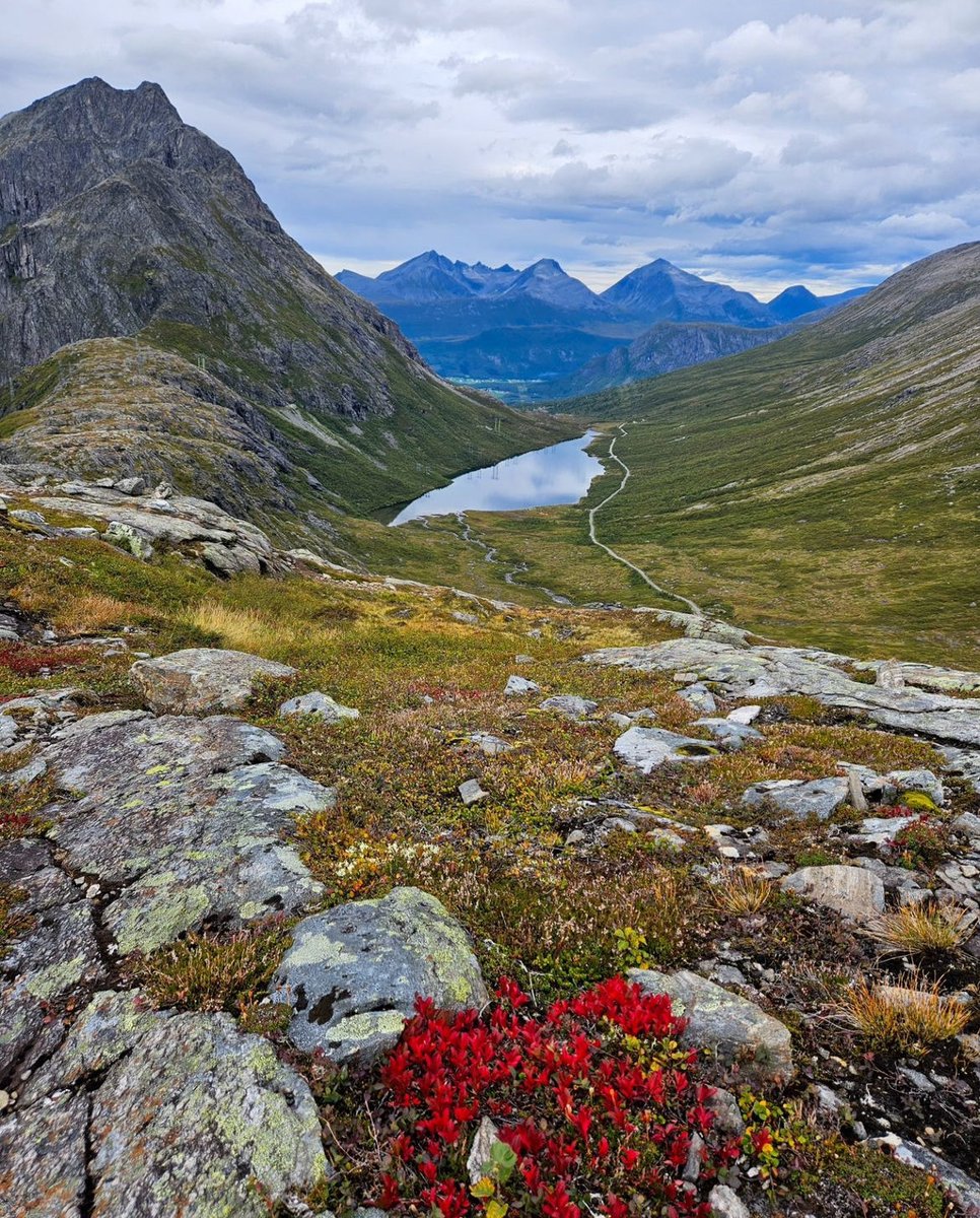 ScandinavianAE's tweet photo. Norway 🇳🇴 https://t.co/jdjAK0WTxm