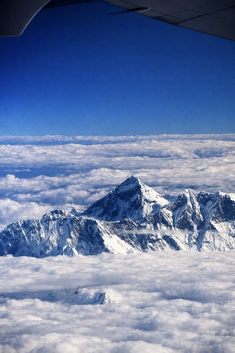 Dailyscienceinfo tweet media