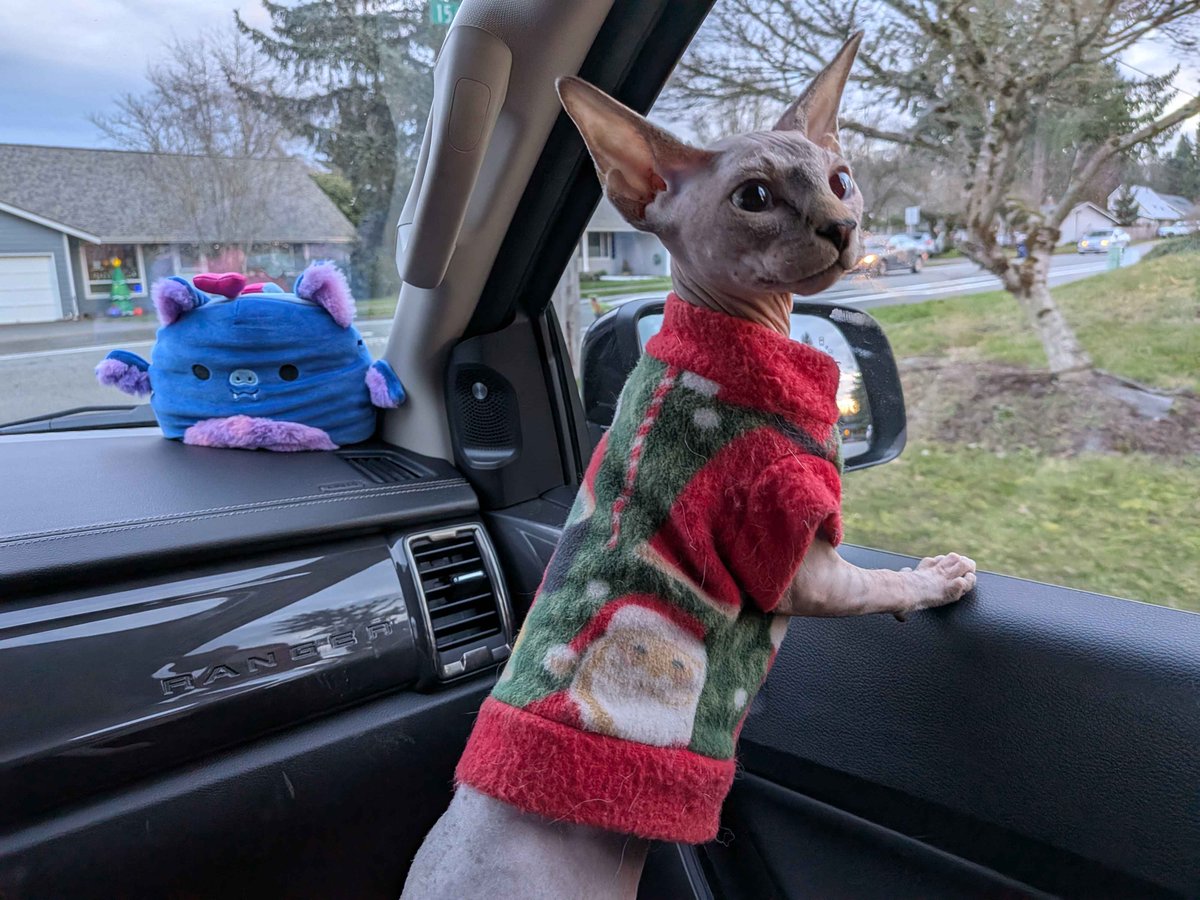 invis 🩸⛓️ hellhound vtuber tweet media