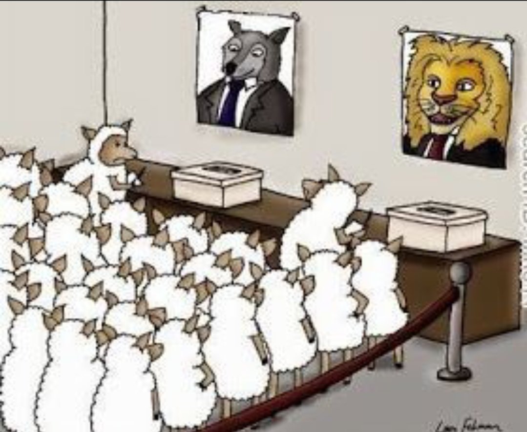 tesesofia's tweet photo. Publiquei esta charge com a intenção de fazer uma crítica política. O que me chamou atenção, porém, foi que os comentários acabaram por ilustrar os dois “rebanhos” representados na imagem, ambos dispostos a defender, a qualquer custo, seus próprios predadores. https://t.co/7dSrVZiZ7i