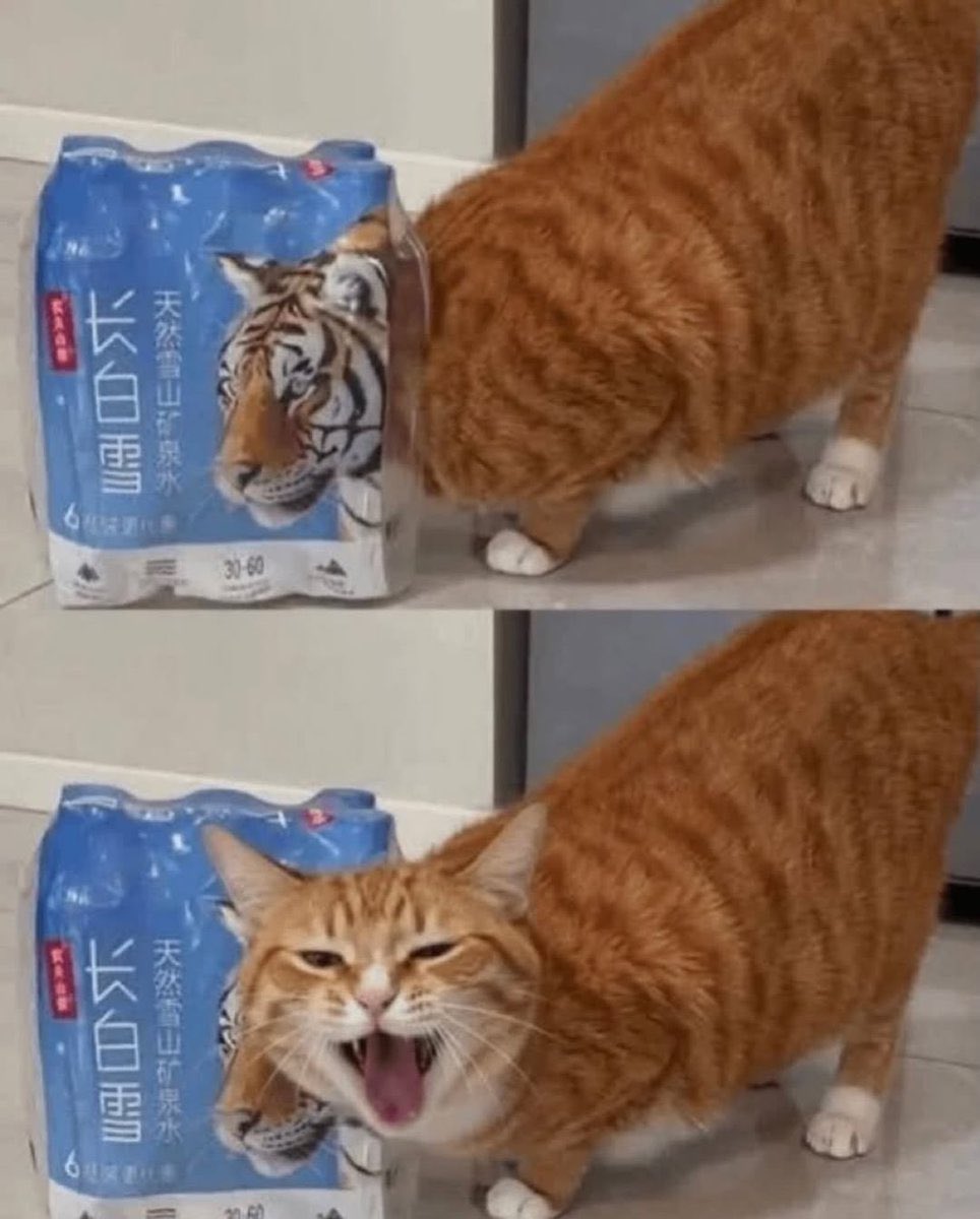 Logitech G esports tweet media