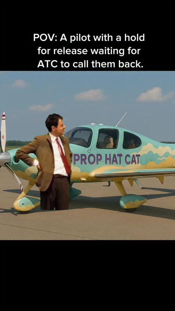 PropHatCat tweet media