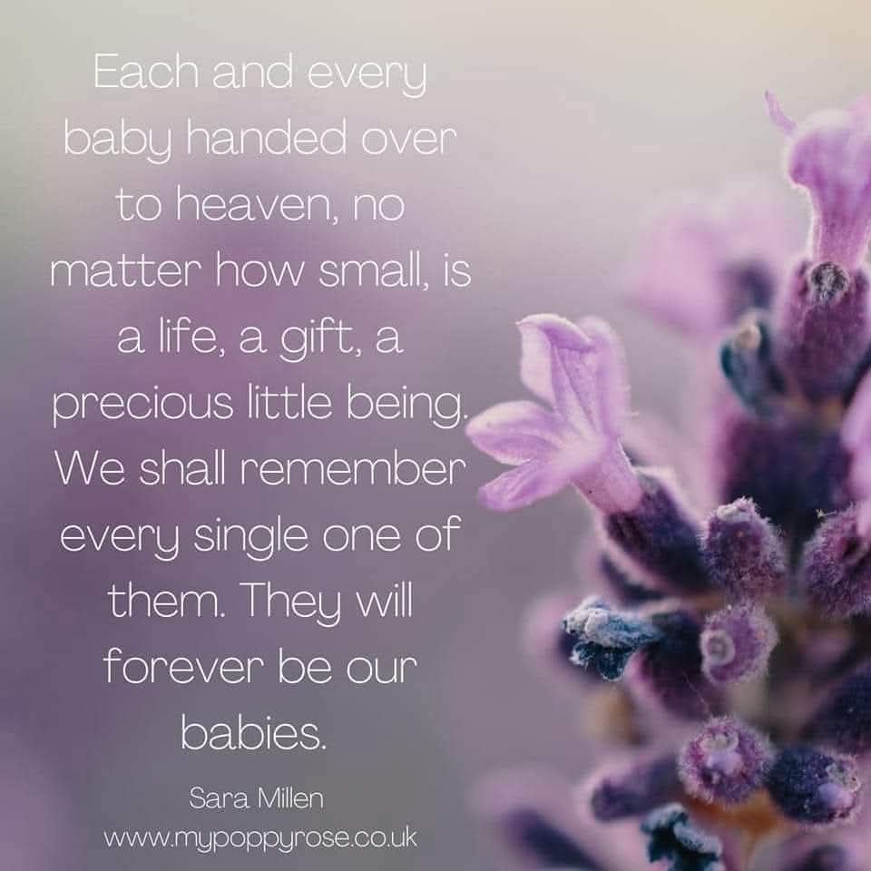 My Poppy Rose tweet media