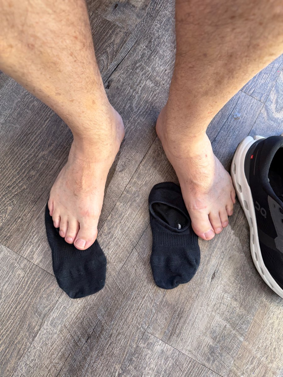 Flipflopdad tweet media