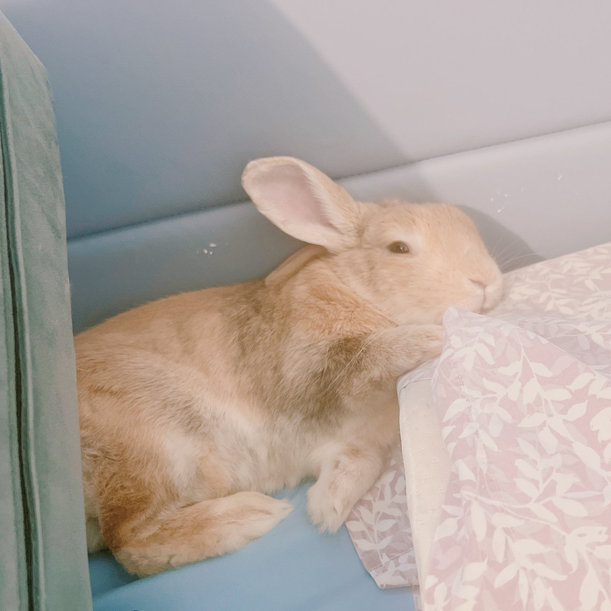 Elle🫧🔱SONG COVER OUT NOW🔱🫧 tweet media